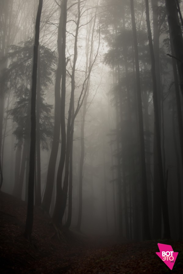Фото тумана