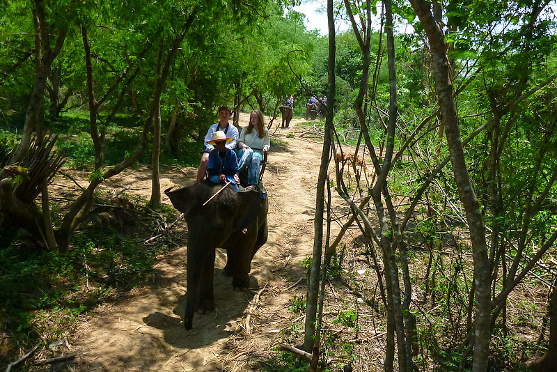 Прогулки на слонах Тайланд