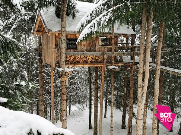 Уютный лесной домик