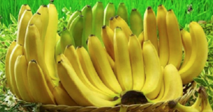 Если вы любитель бананов, прочитайте эти 10 шокирующих фактов (№ 6 очень важен)