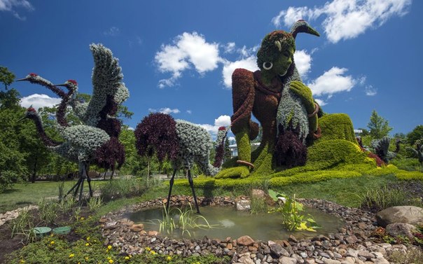 Конкурс садовых скульптур в Монреале Канадский