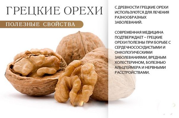 Полезные свойства грецких орехов  Универсальная польза  Грецкие орехи –