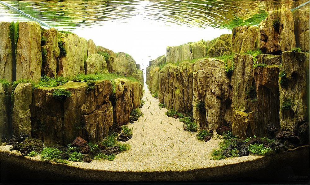 Искусство аквариумистики – удивительные подводные пейзажи</p>
<p>